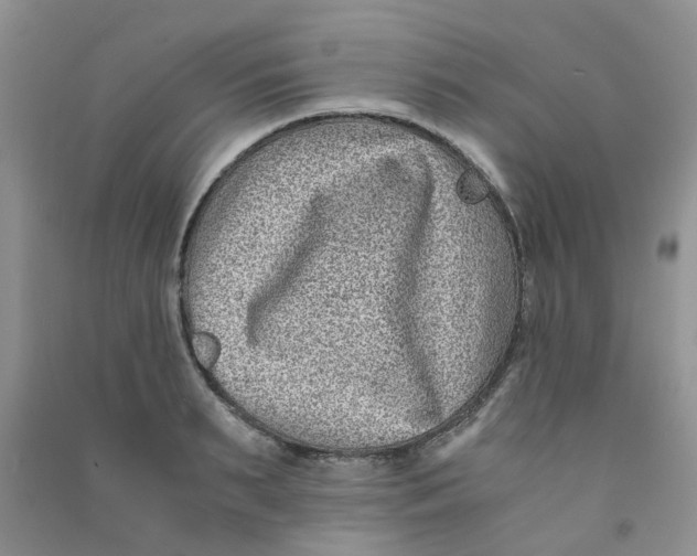 X0000090700895200708171844