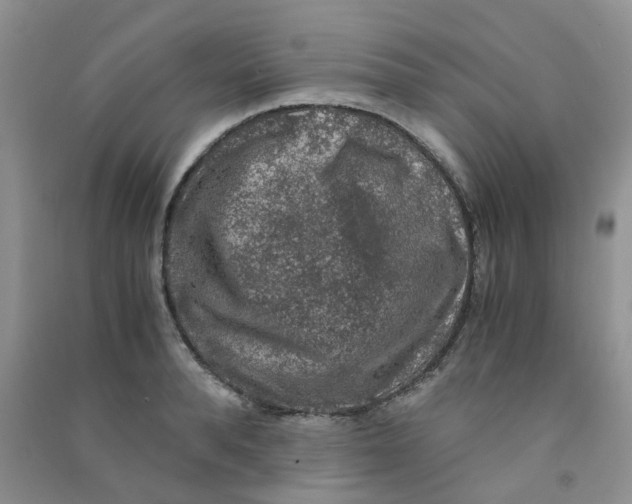 X0000090700896200708171844