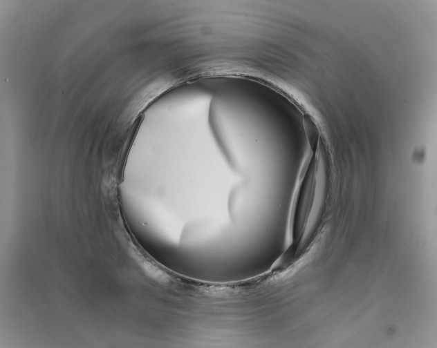 X0000090700897200708171844