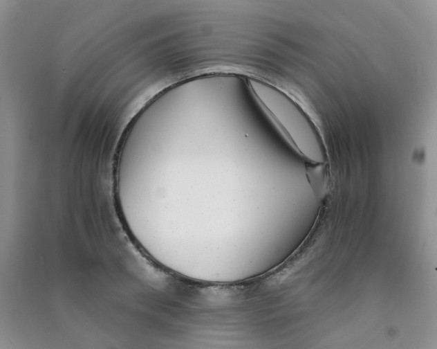 X0000090700898200708171844