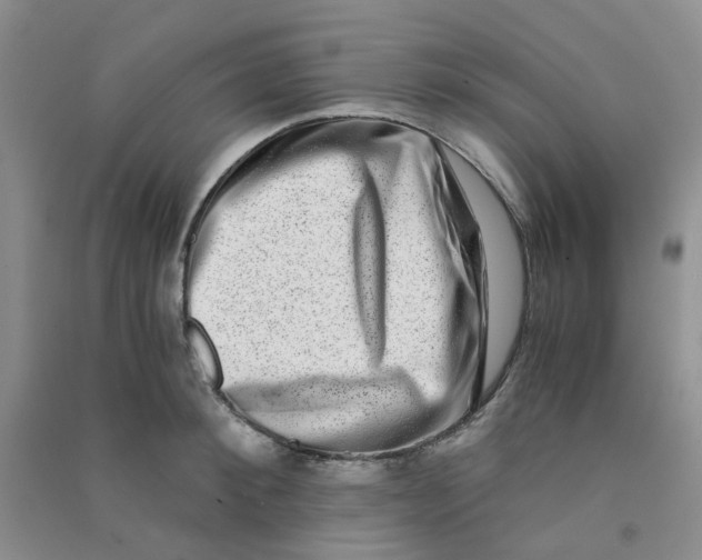 X0000090700900200708171844