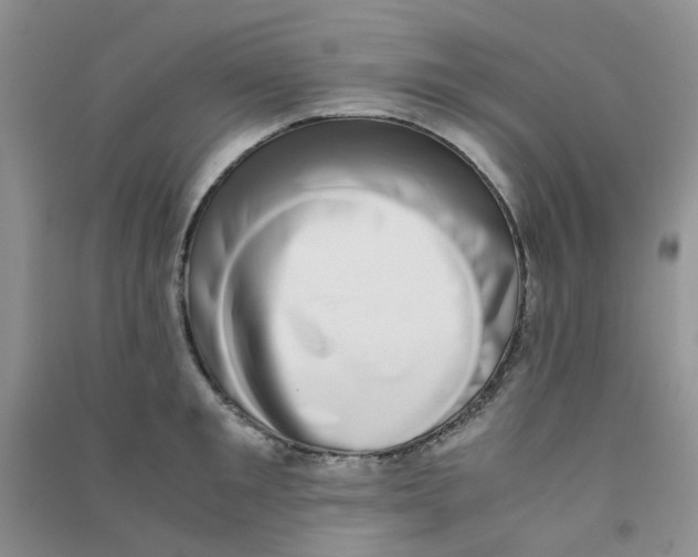 X0000090700901200708171844