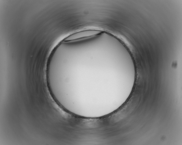 X0000090700902200708171844