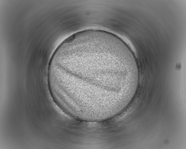 X0000090700903200708171844