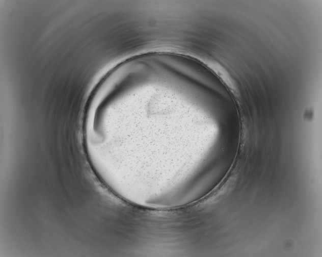 X0000090700904200708171844