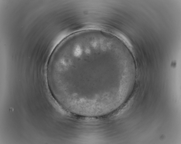 X0000090700907200708171844