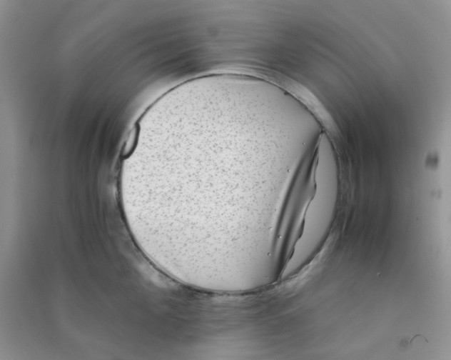 X0000090700908200708171844