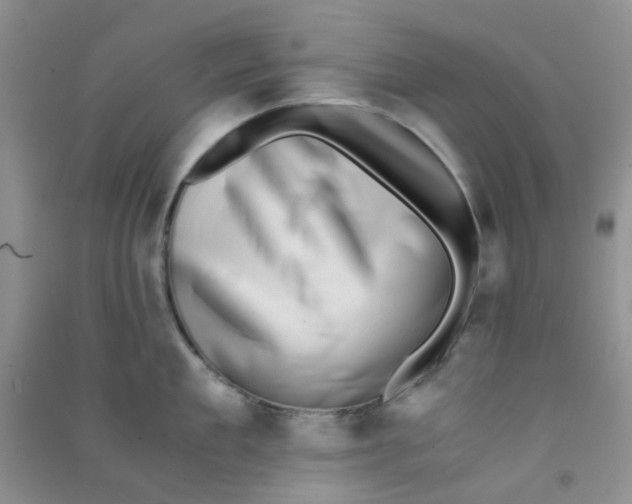 X0000090700909200708171843