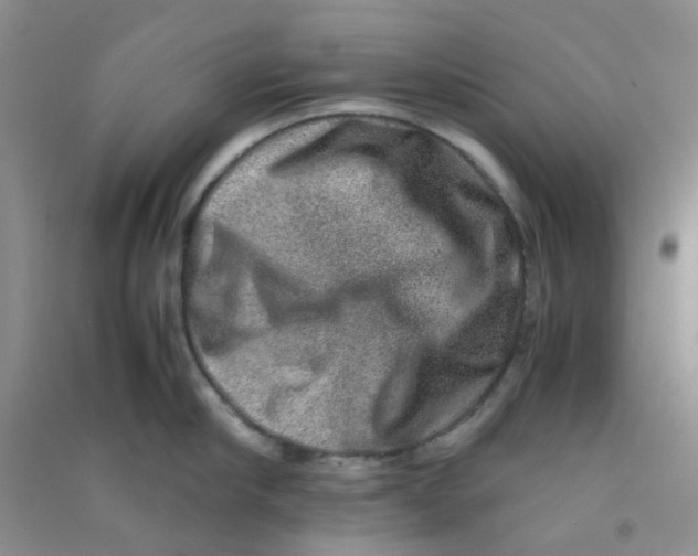 X0000090700910200708171843