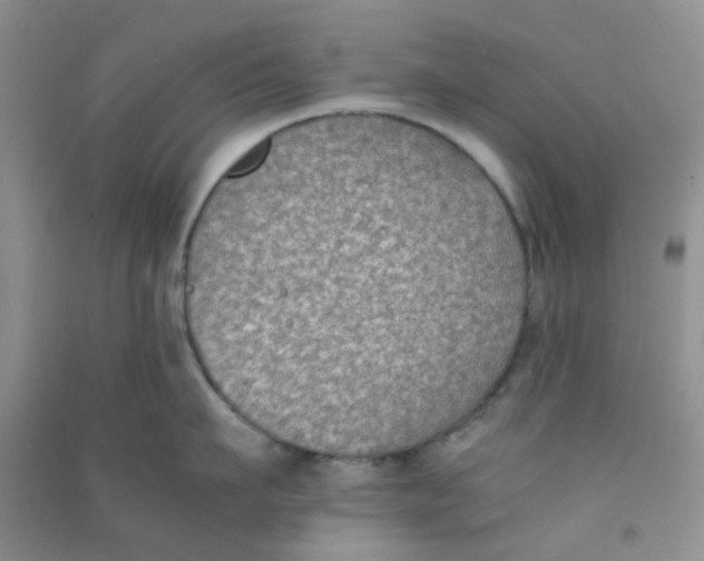 X0000090700911200708171843