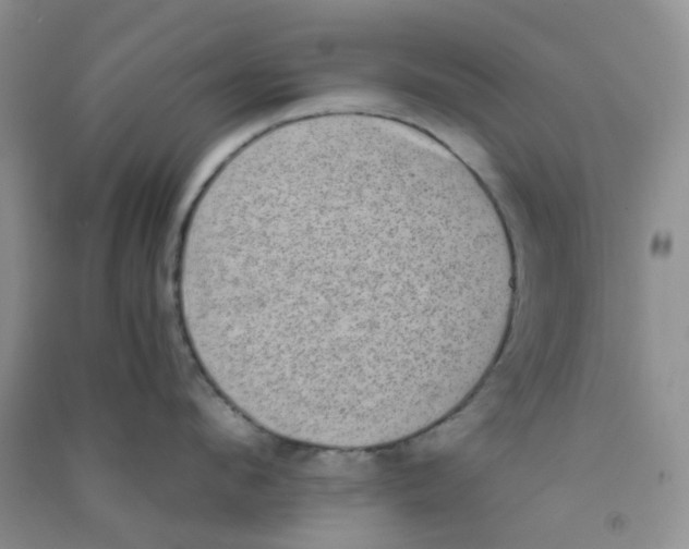 X0000090700912200708171843