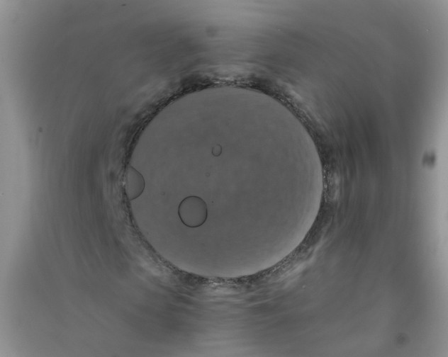 X0000090700913200708171843