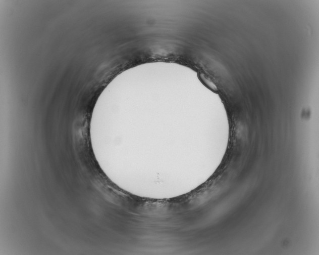 X0000090700914200708171843