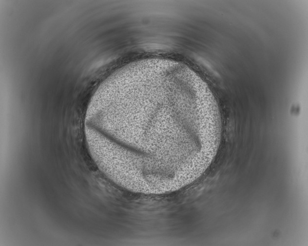 X0000090700917200708171843