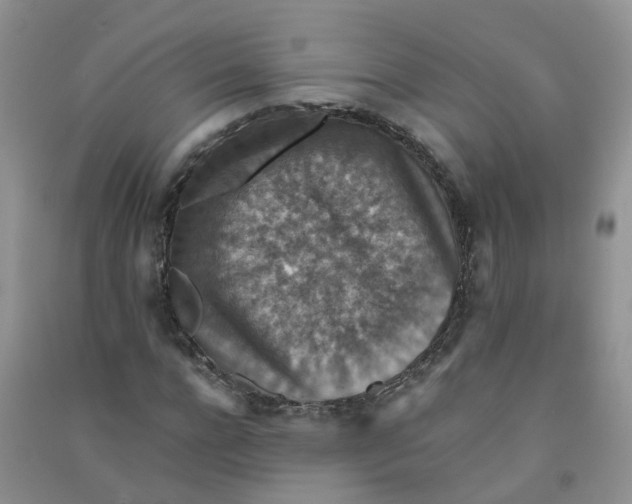 X0000090700920200708171843