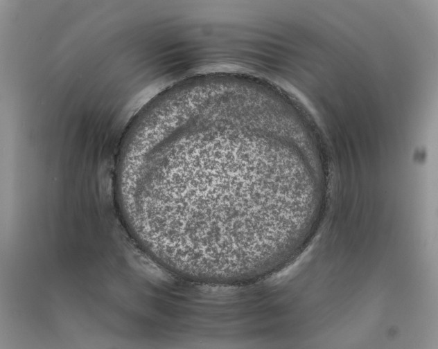 X0000090700921200708171843