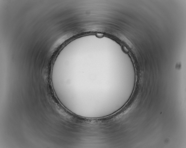 X0000090700922200708171843