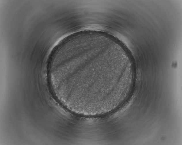 X0000090700923200708171843