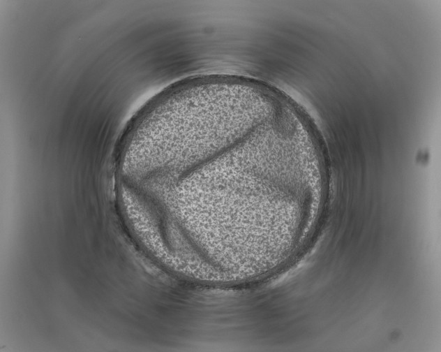 X0000090700925200708171843