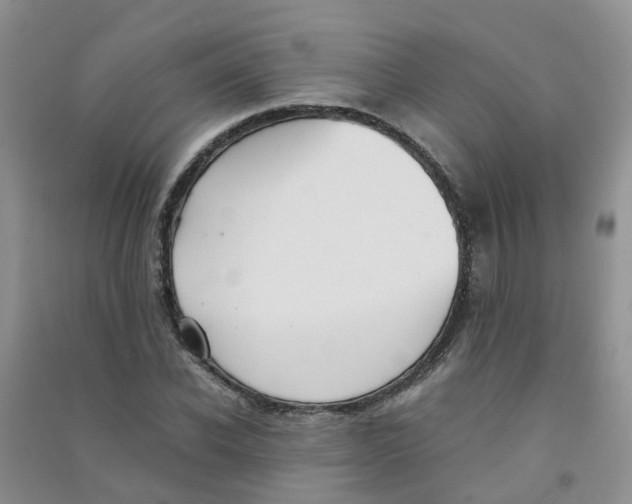 X0000090700926200708171843