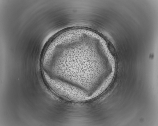 X0000090700928200708171843