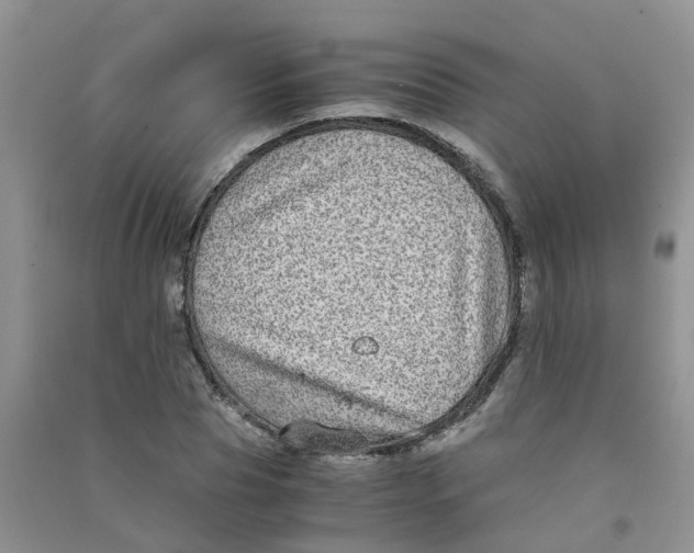 X0000090700929200708171843