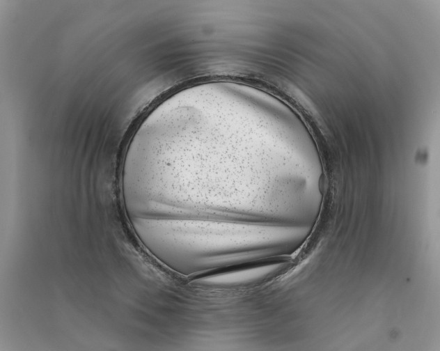 X0000090700930200708171843