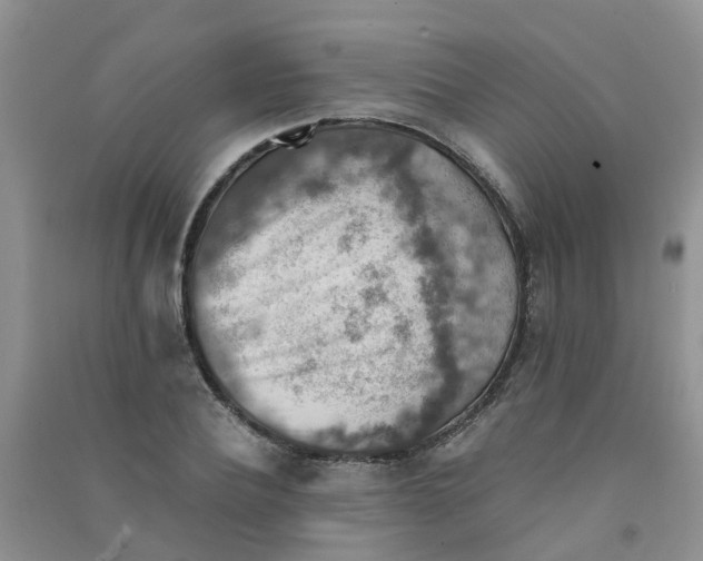 X0000090700932200708171843