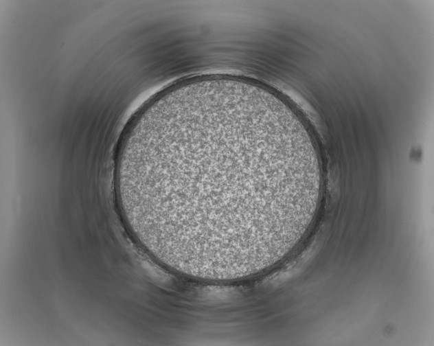 X0000090700933200708171843