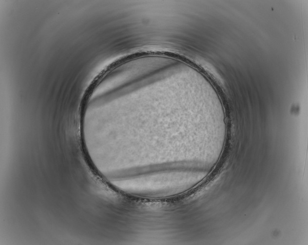 X0000090700934200708171843