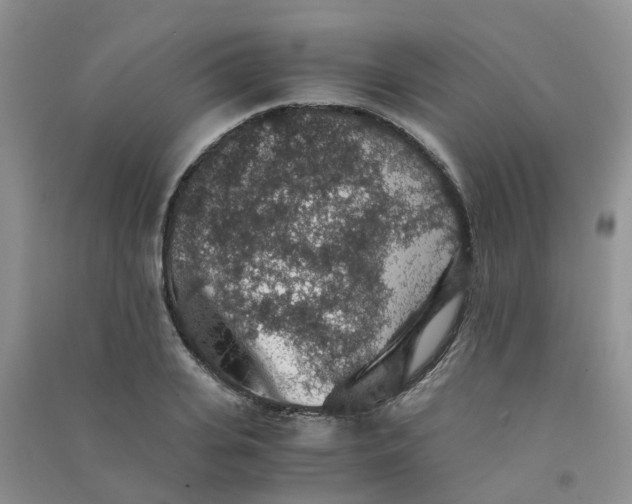 X0000090700935200708171843