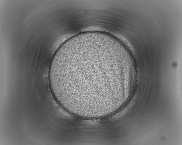 X0000090700937200708171843