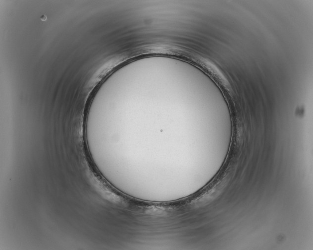 X0000090700938200708171843