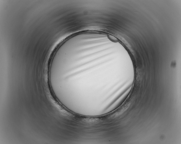 X0000090700939200708171843