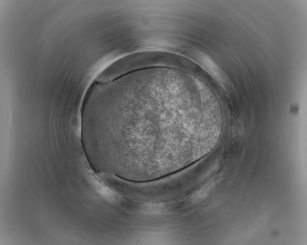 X0000090700940200708171843