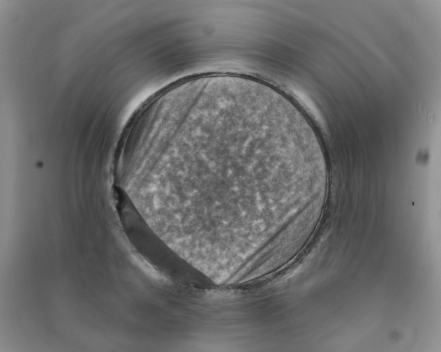 X0000090700944200708171843