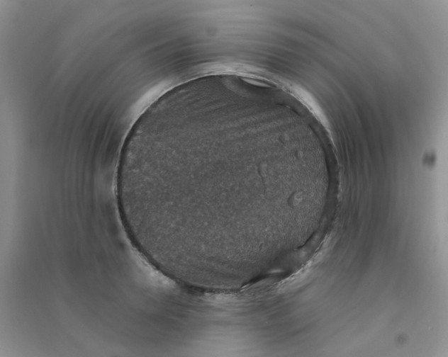 X0000090700946200708171843