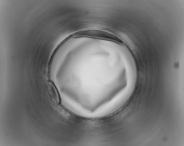 X0000090700948200708171843