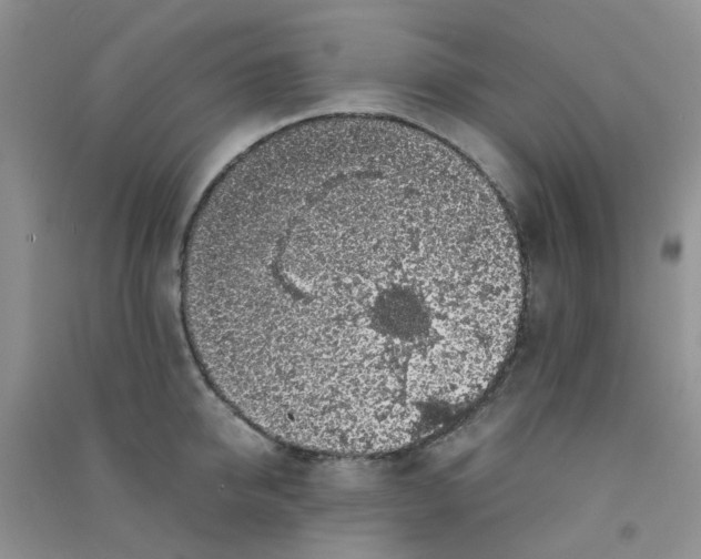 X0000090700950200708171843