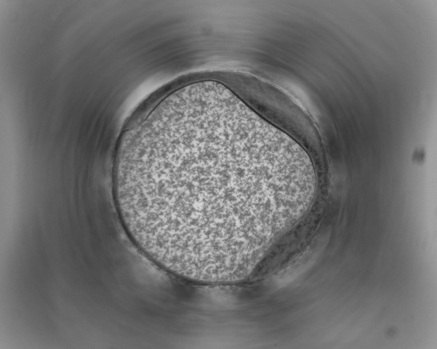 X0000090700952200708171843