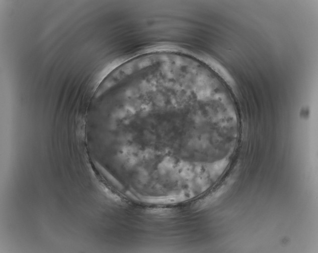 X0000090700953200708171843