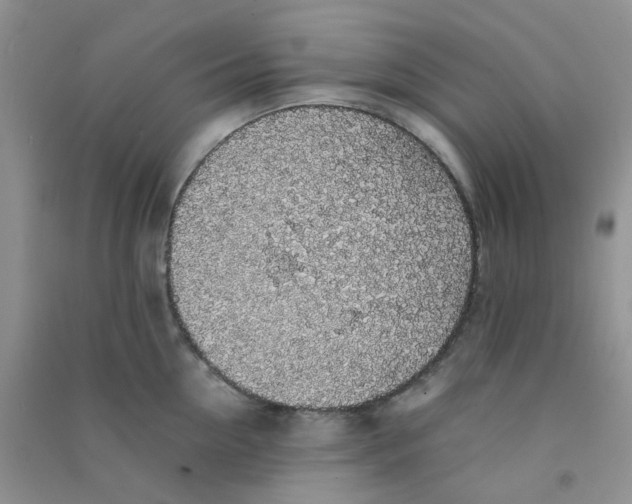 X0000090700954200708171843