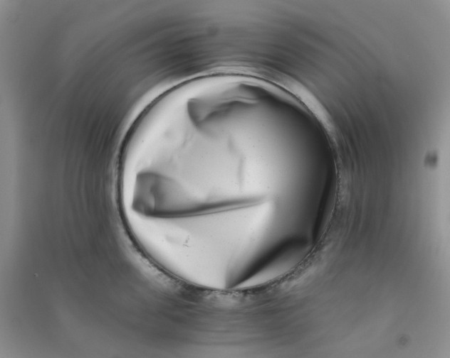 X0000090700955200708171843