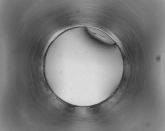 X0000090700956200708171843