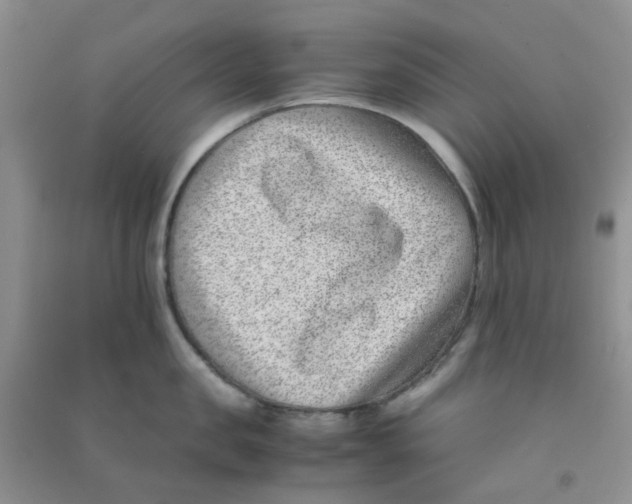 X0000090700957200708171843