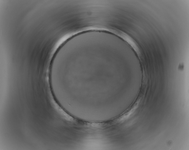 X0000090700958200708171843