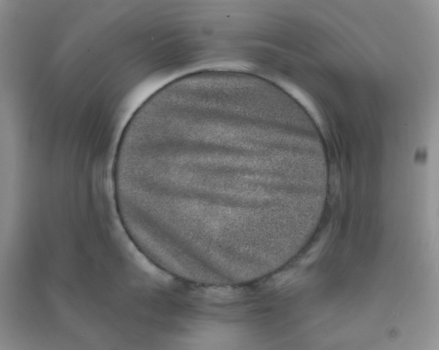 X0000090700959200708171843