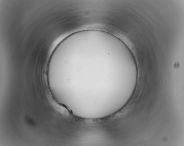 X0000090700960200708171843