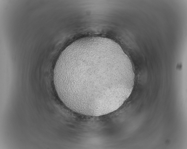 X0000090700961200708171843