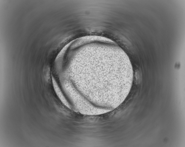 X0000090700963200708171843